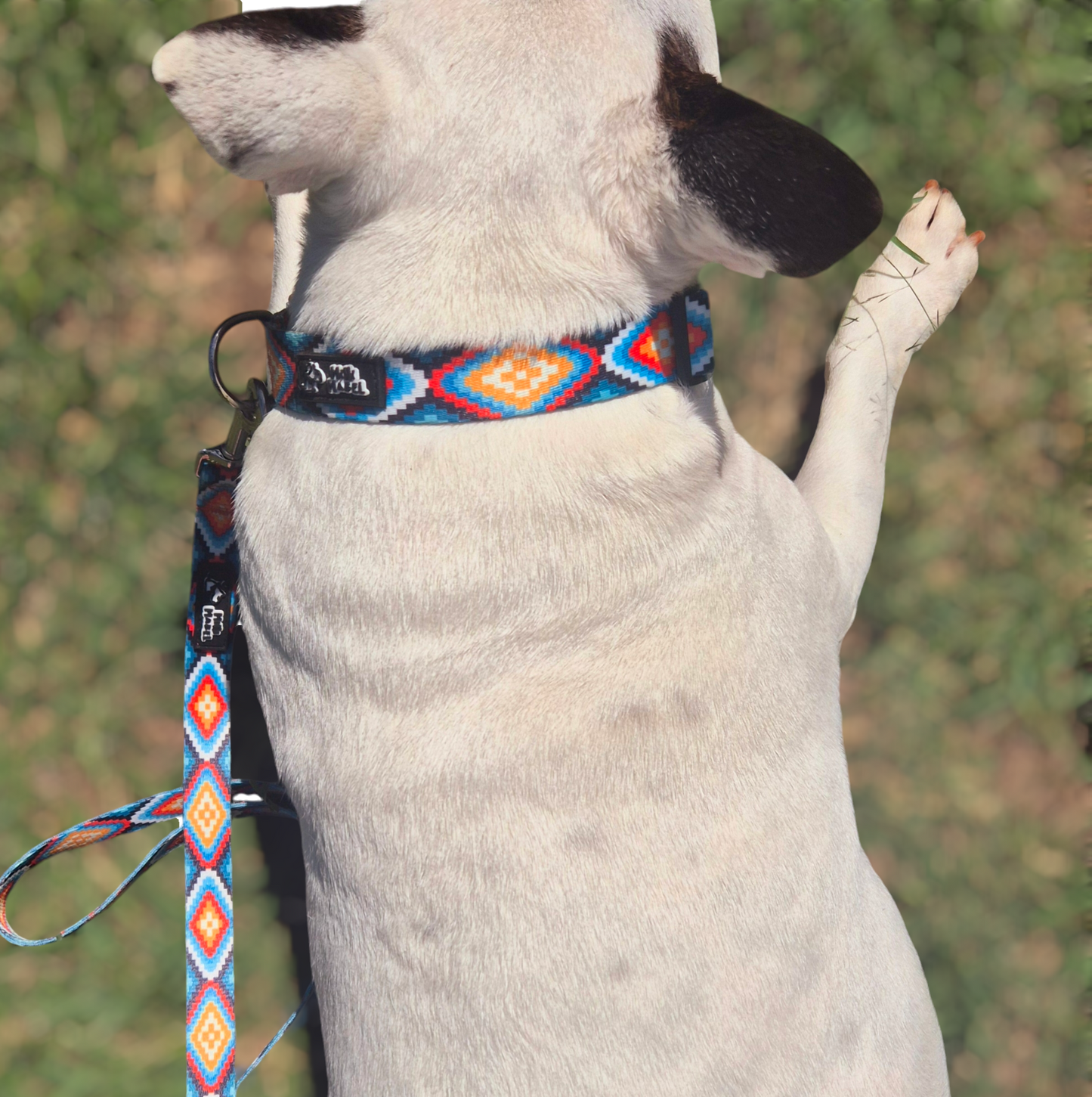 Dog Collar and Lead Set Aztec Print Mini Mabel
