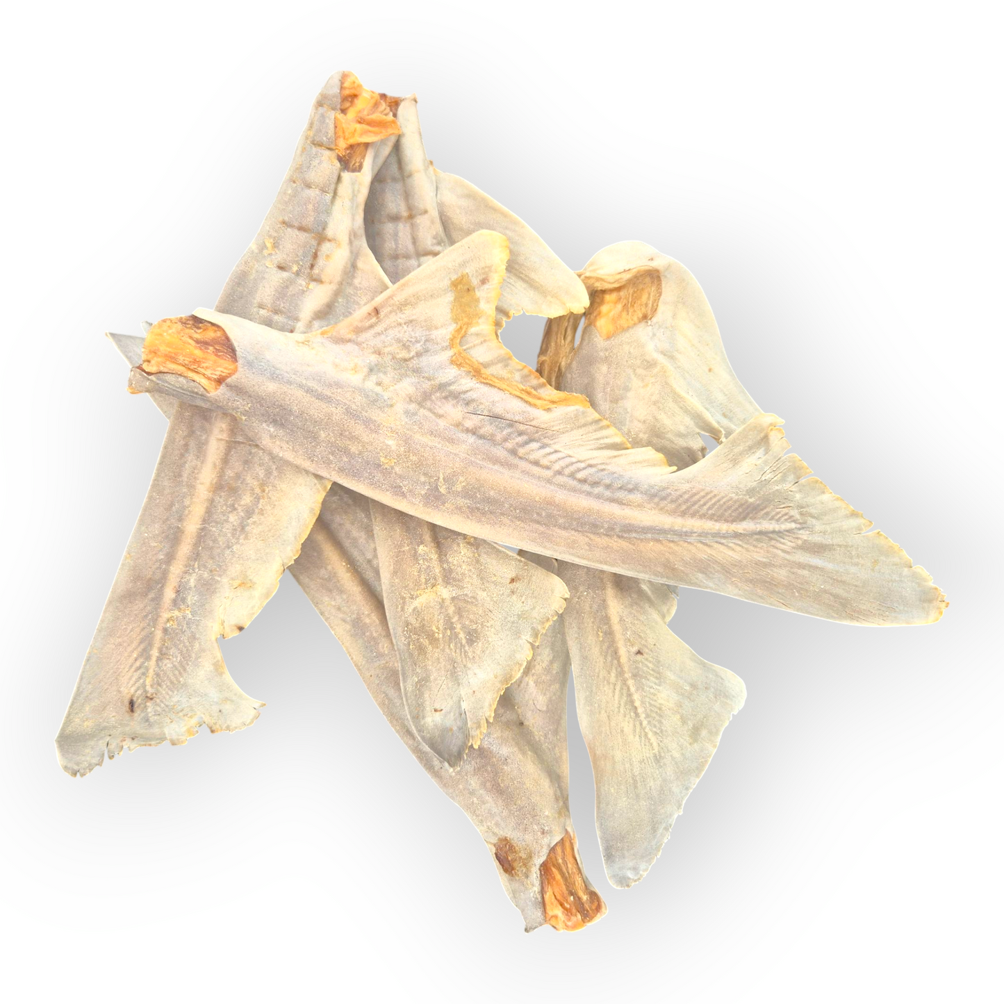 Shark Tails 5 Pack