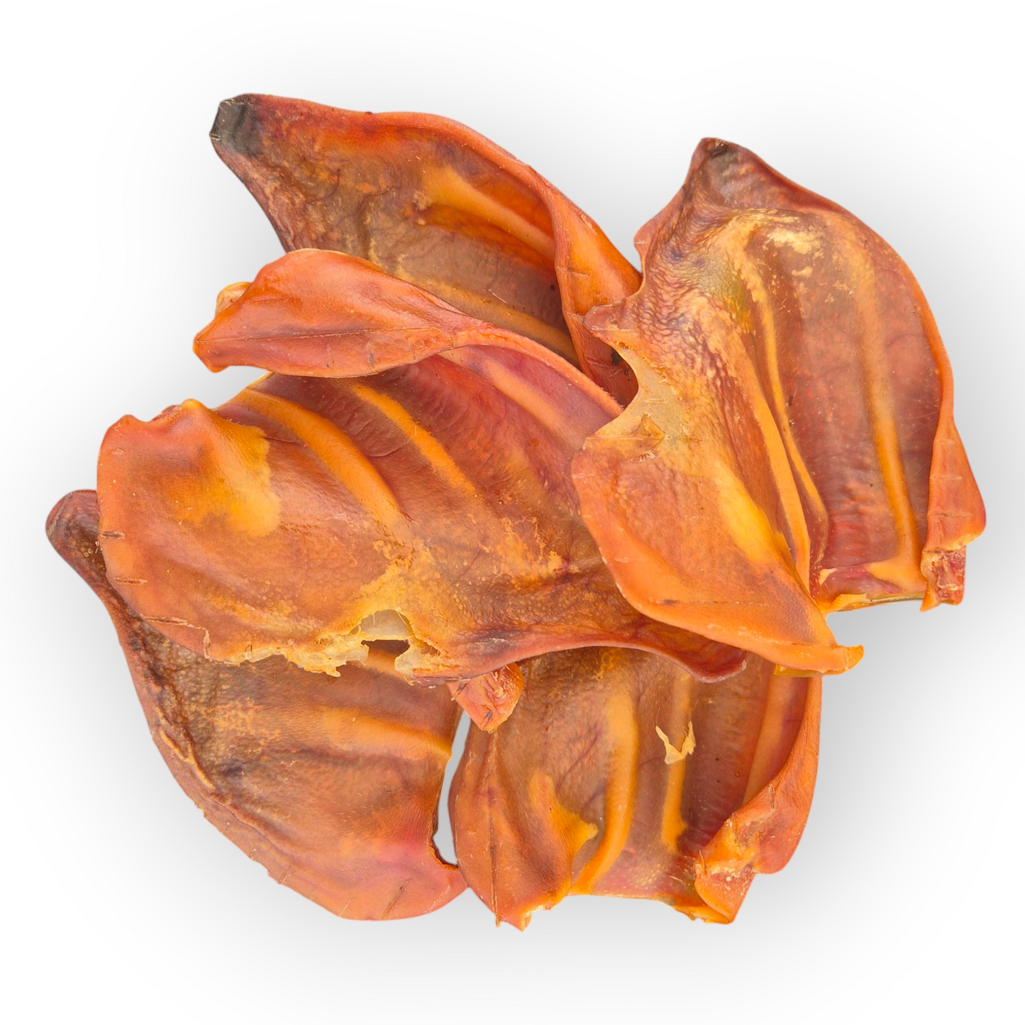 Pigs Ears 5 Pack