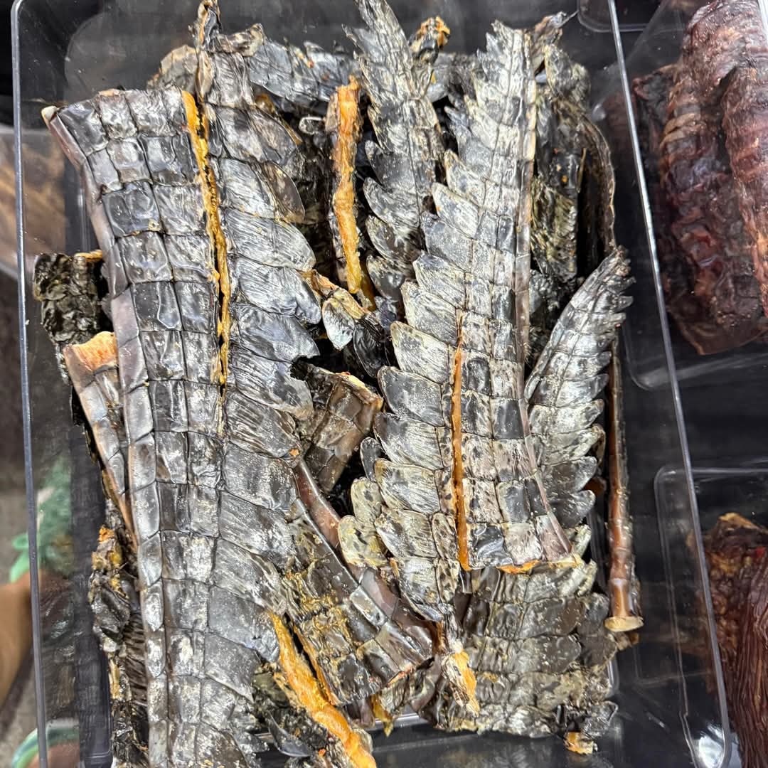 Crocodile Tails 3 Pack