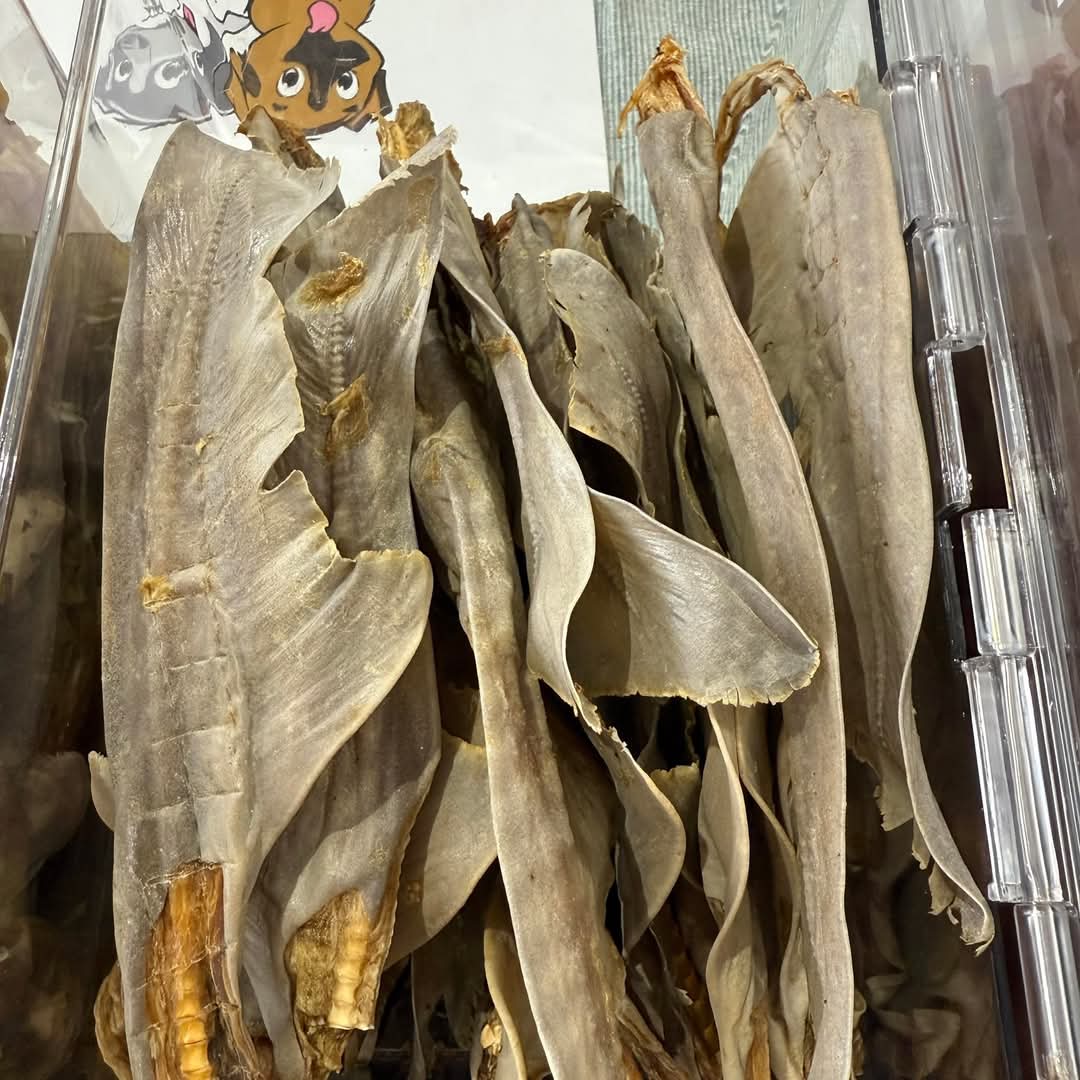 Shark Tails 5 Pack