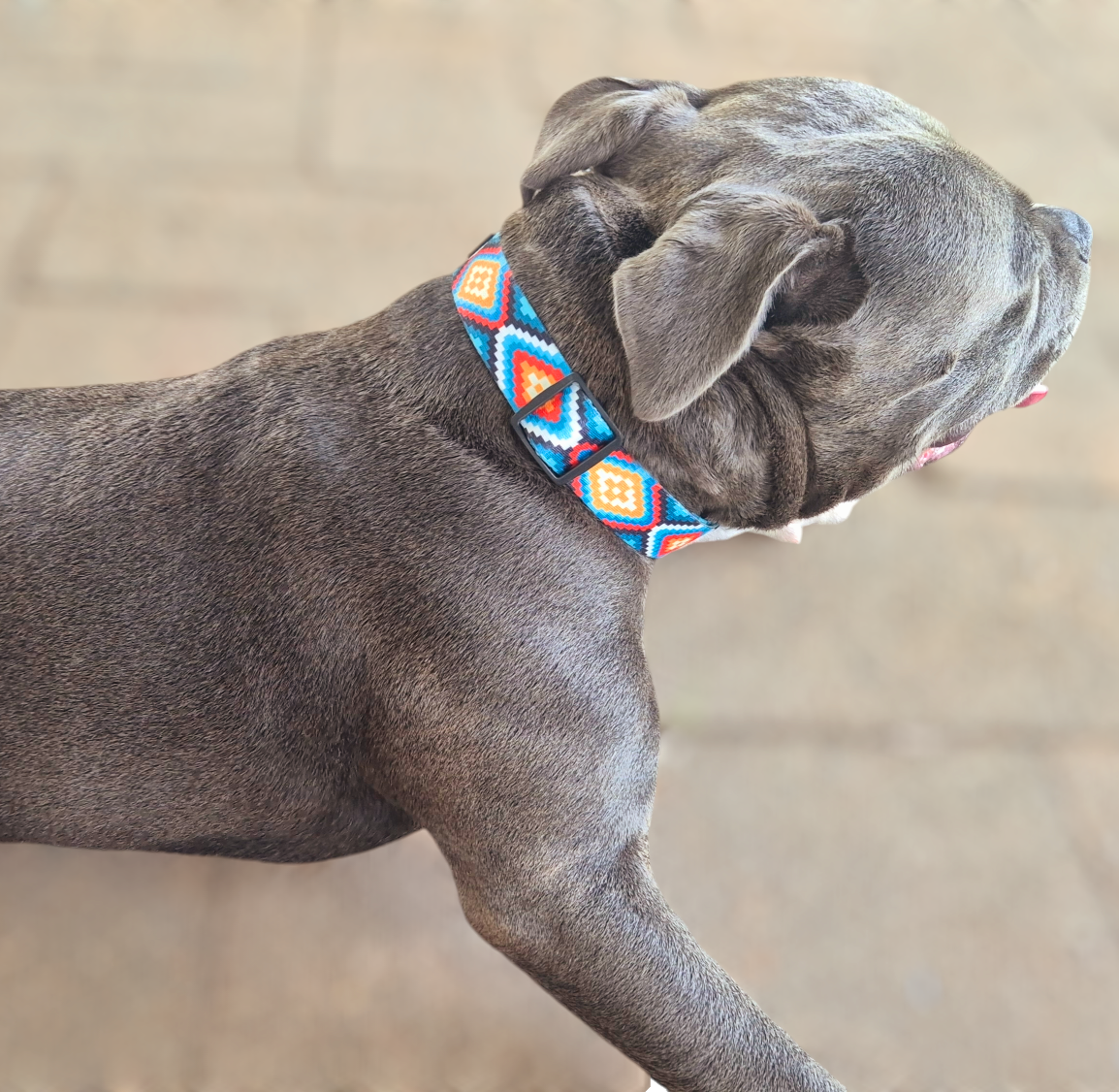 Bright Dog Collar Aztec Pattern Mini Mabel