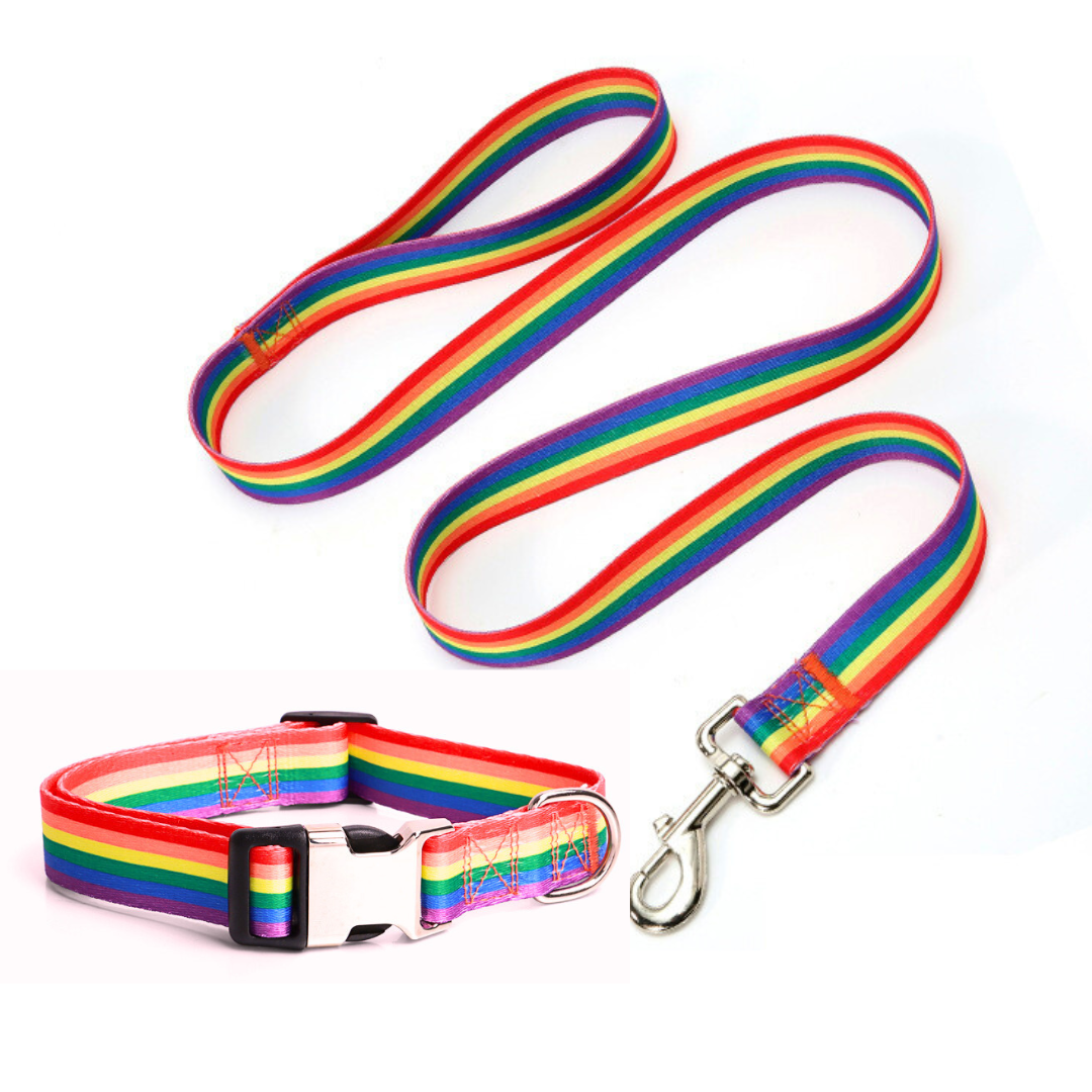 Rainbow Dog Collar and Rainbow Dog Lead Mini Mabel