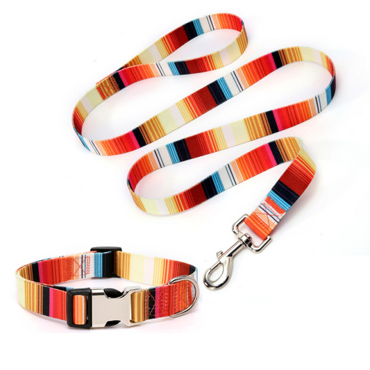 Mini Mabel Orange Dog Collar and Lead Set Sunshine Lollipop