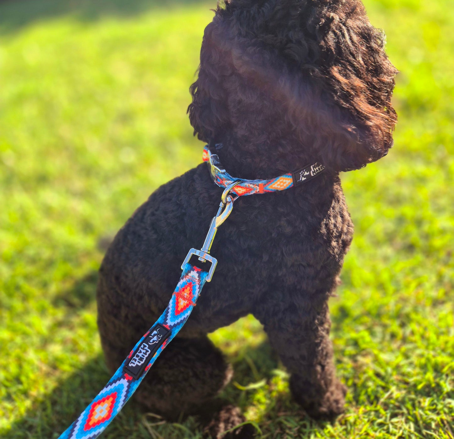 Small Dog Collar and Lead Set Aztec Print Mini Mabel