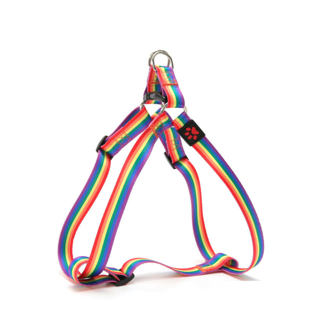 Rainbow Dog Harness Mini Mabel