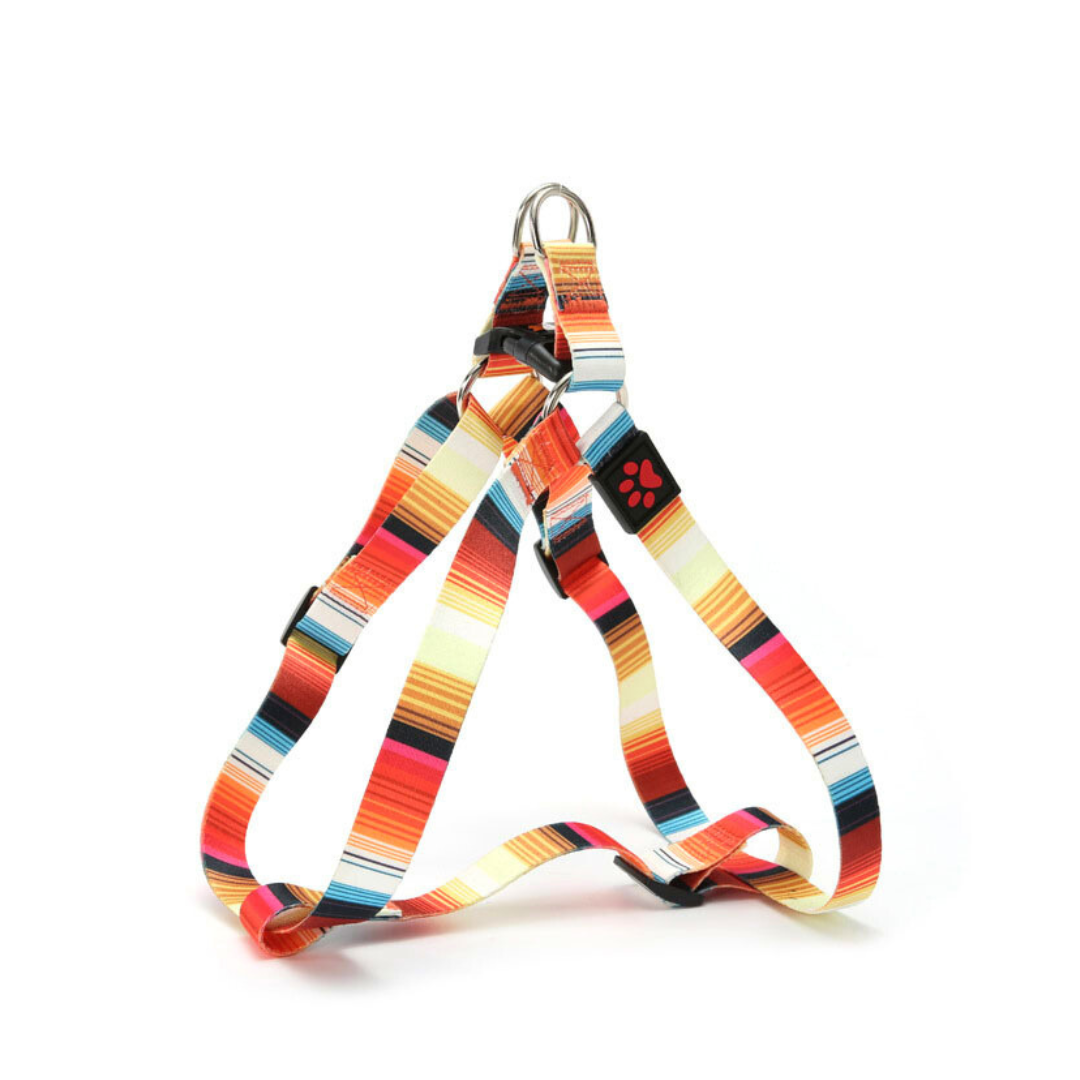 Dog Harness Bright Orange Yellow Mini Mabel