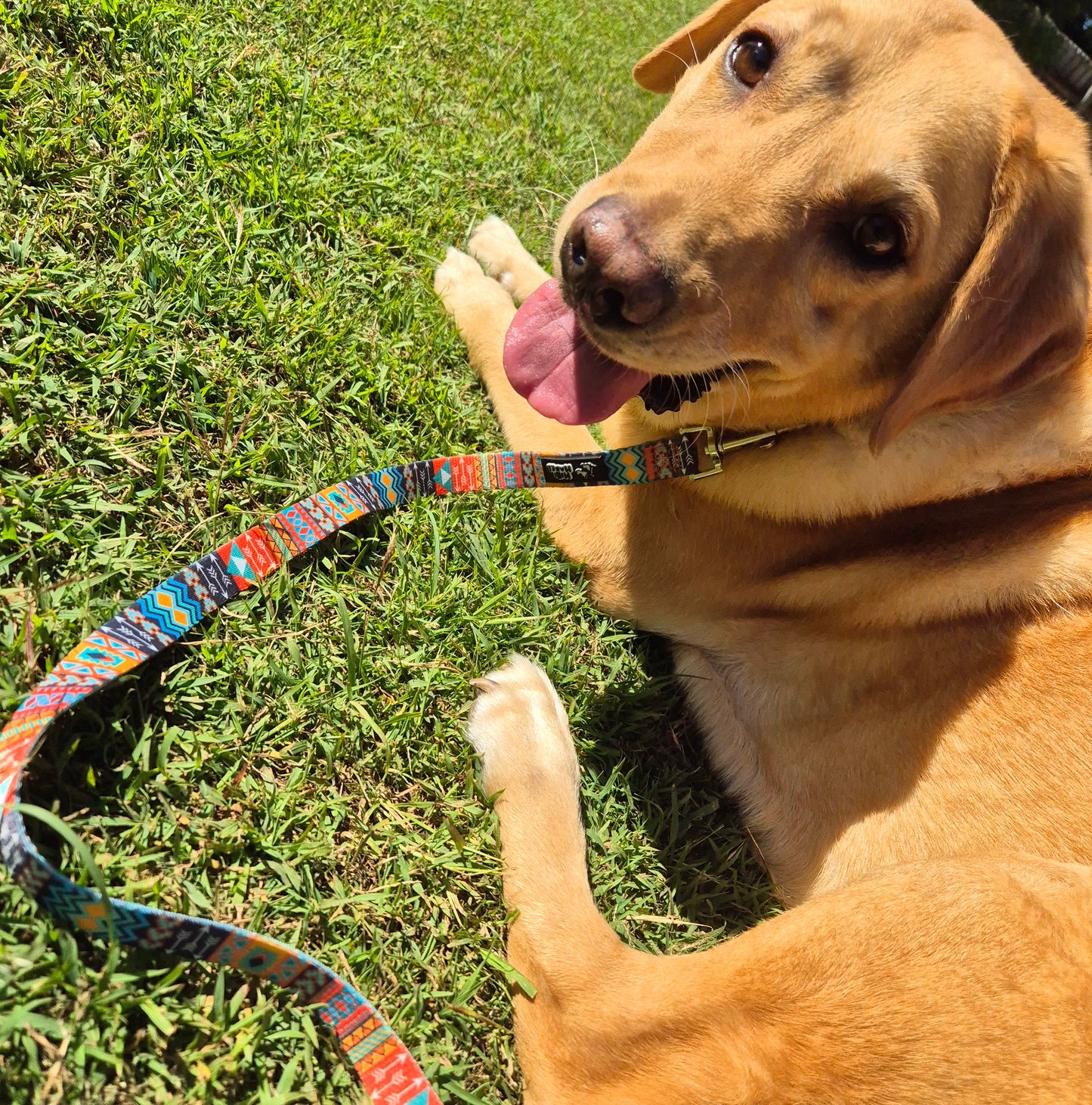 Mini Mabel Tribal Dog Collar and Lead Set Tiki Magic