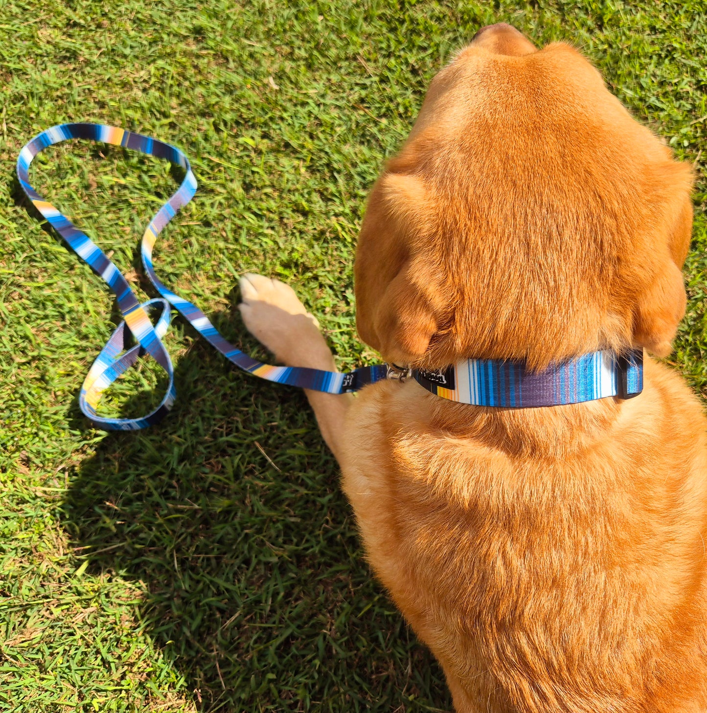 Blue Dog Collar and Lead Set Mini Mabel