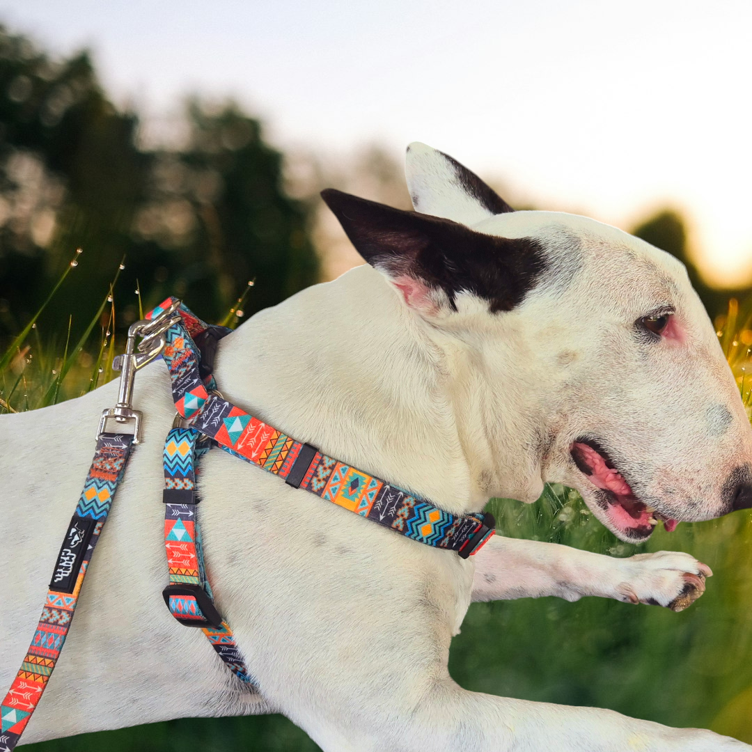 Tribal Dog Harness Blue Orange Mini Mabel