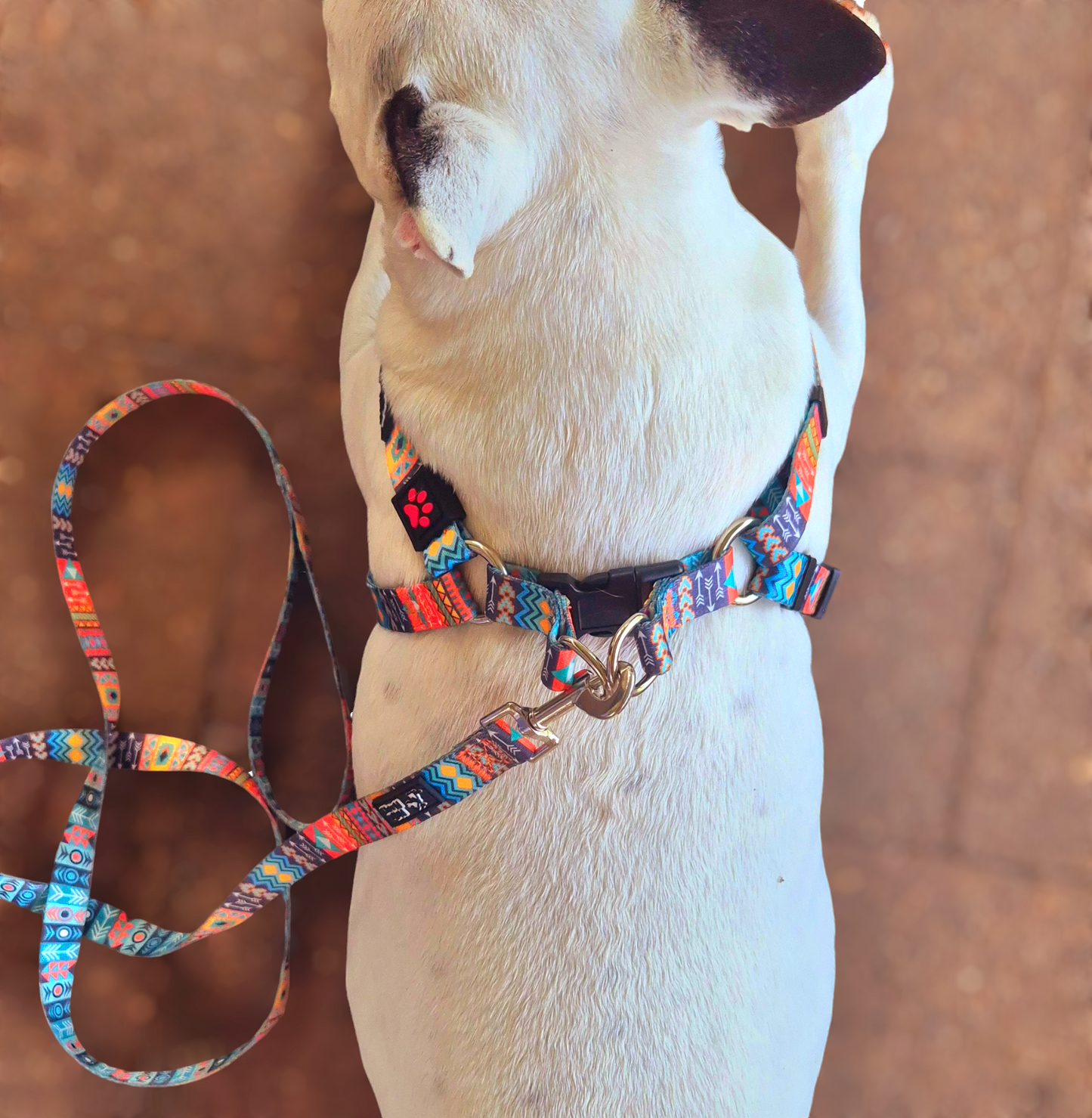 Tribal Dog Harness Blue Orange Mini Mabel