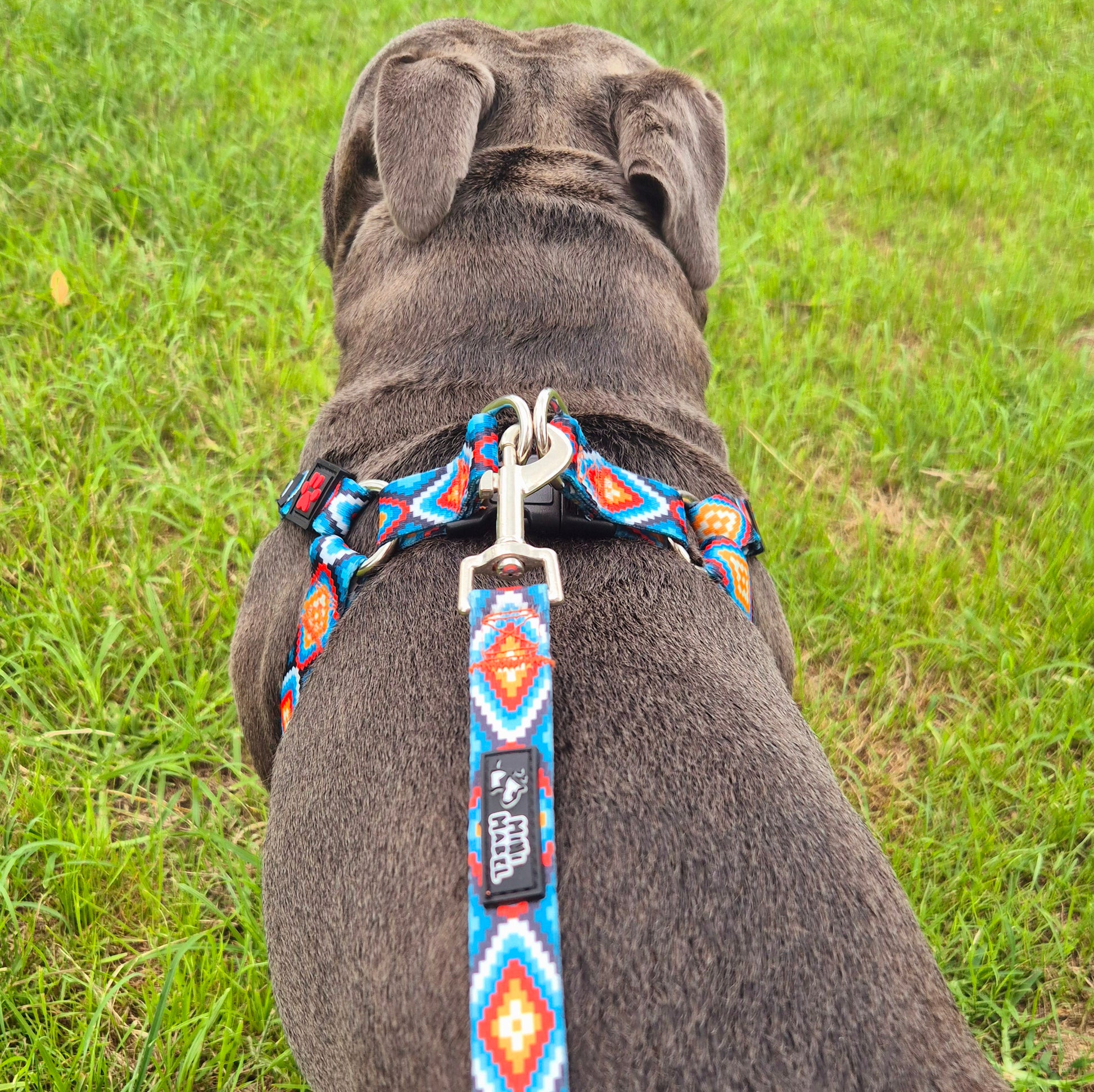 Step In Dog Harness Aztec Print Mini Mabel