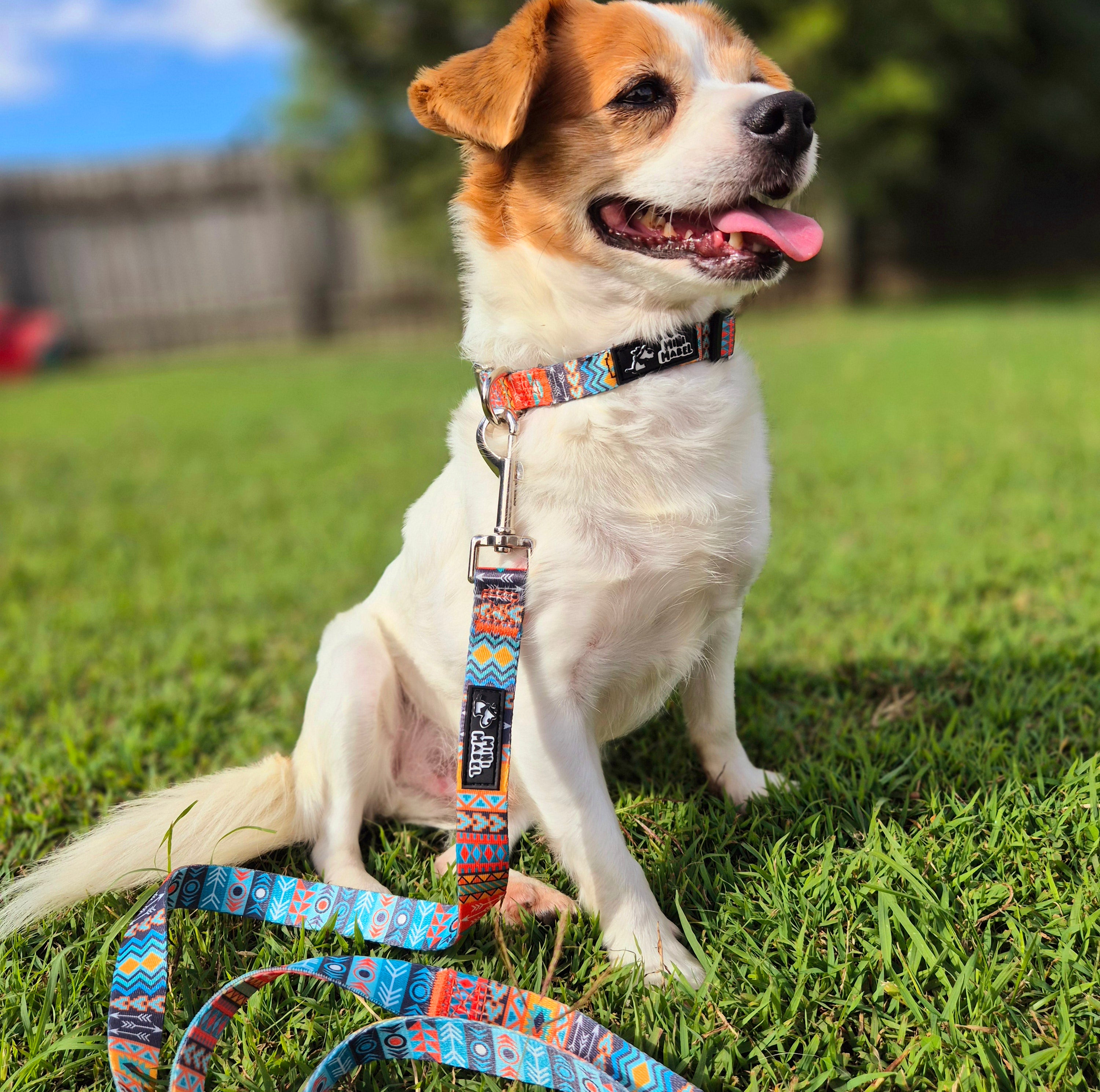 Mini Mabel Tribal Dog Collar and Lead Set Tiki Magic